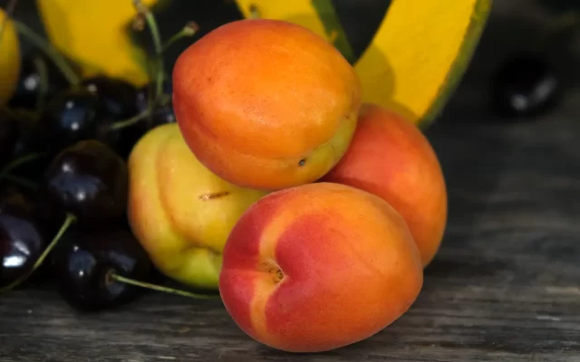 albicocche frutta verdura vasetti mantova qualità