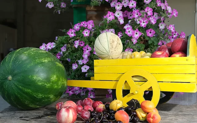 bio frutta verdura vasetti mantova qualità