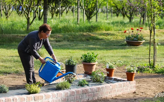 nonna frutta verdura vasetti mantova qualità