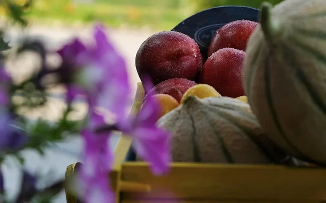 pesche frutta verdura vasetti mantova qualità